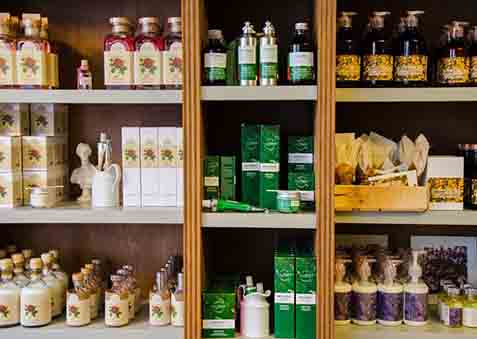Botanicus